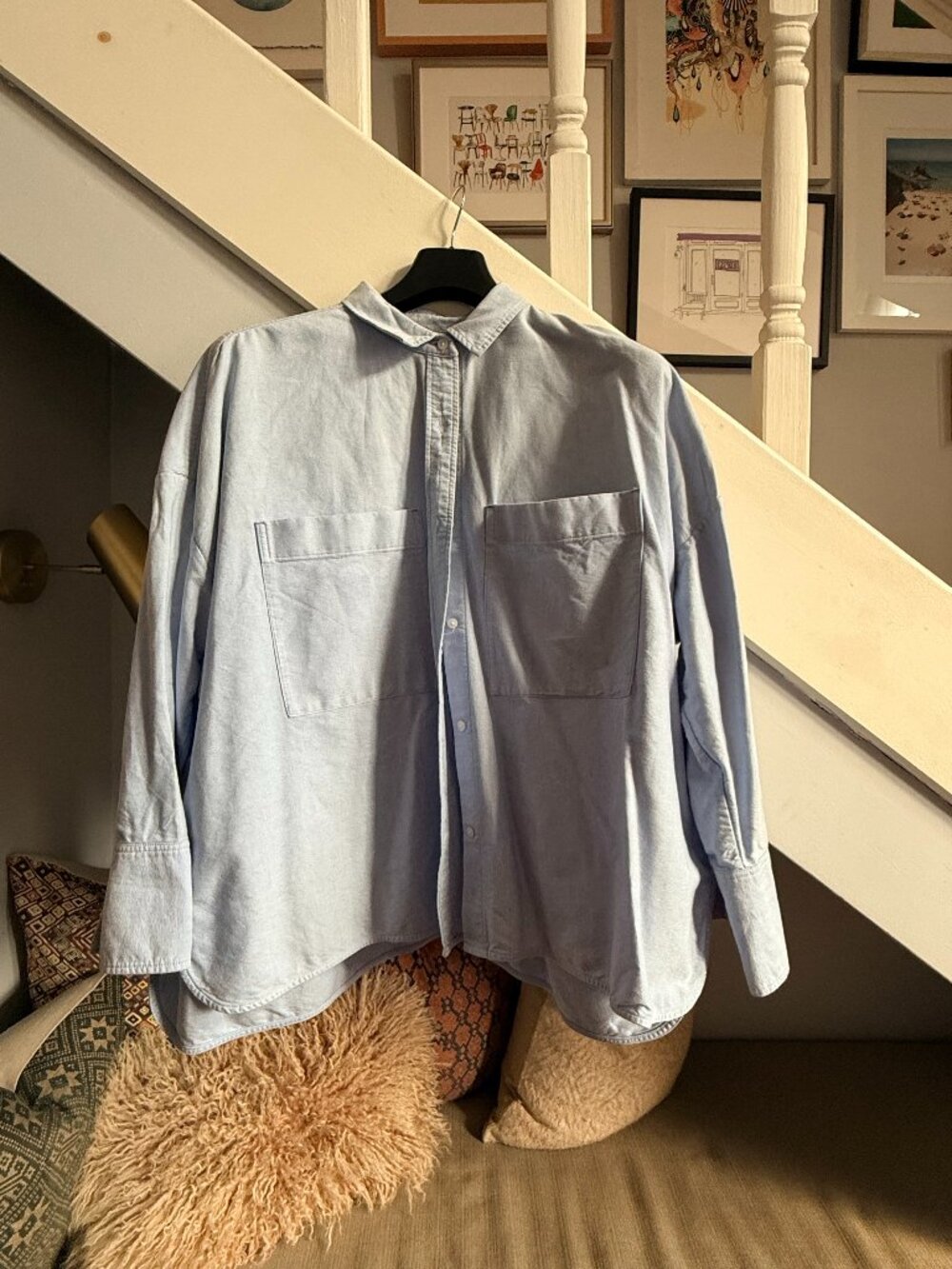 Everlane Boxy Oxford in Light Blue (XL)